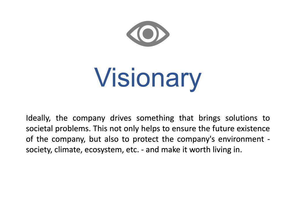 Purpose_Visionary